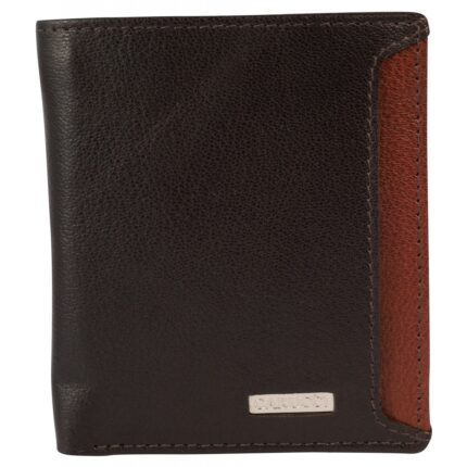 Carucci Echt Leder Kartenetui mit Scheinfach, RFID, Hochformat,