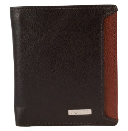Carucci Echt Leder Kartenetui mit Scheinfach, RFID, Hochformat,