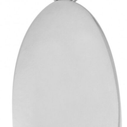 Akzent Edelstahl Gravuranhänger, oval, silberfarbig