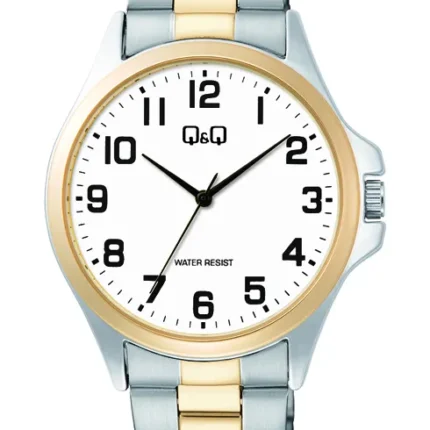 Q&Q Stainless Steel Bicolor Band Watch 3ATM (Men's) C36A-017PY